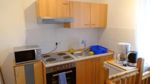 małą kuchnię z kuchenką i zlewem w obiekcie Charmantes Apartment in Mittelfeld w Hanowerze