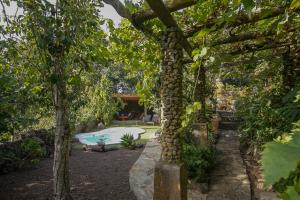 Kép Villa Los Matos Pool and Garden Valleseco szállásáról Vallesecóban a galériában