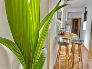 Fotografie z fotogalerie ubytování Apartamentos Puerta Real Sevilla v destinaci Seville
