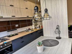 uma cozinha com uma mesa com um vaso de plantas em Apartament Feels like home Secluded Terrace em Iaşi