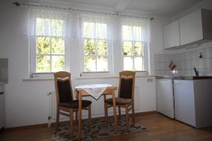 a kitchen with a table and chairs and windows at Haus Bodesprung in Schierke