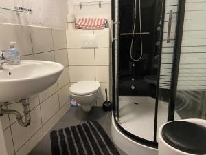 a bathroom with a toilet and a sink and a shower at Monteur &,Geschäftsreisen Stay in Günsterode