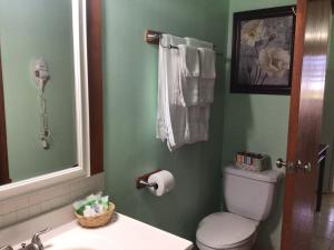 a bathroom with a toilet and a sink and a mirror at Antigua Seaview in Saint Johnʼs