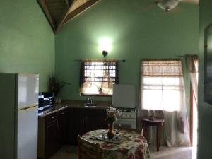 cocina con paredes verdes, mesa y nevera en Antigua Seaview, en Saint Johnʼs