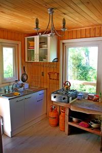 cocina con fogones y fregadero y 2 ventanas en Cabaña Fio-Fio Conguillio National Park, en Conguillio