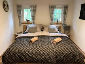 SněžnikHájenka Sněžník的一间卧室，床上有两个枕头 更多43张照片