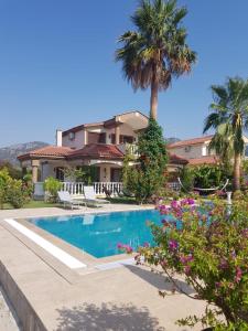 une villa avec une piscine et un palmier dans l'établissement Villa Bade, à Dalyan