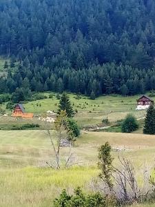 Paesaggio naturale nelle vicinanze dello chalet