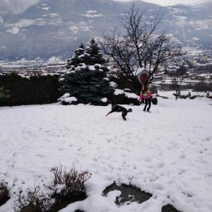 Deux personnes et un chien jouant au frisbee dans la neige dans l'établissement Casa Lumiere, à Aoste