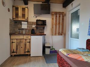 A kitchen or kitchenette at András penzión