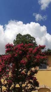 Zdjęcie z galerii obiektu San Martinello w mieście Perugia