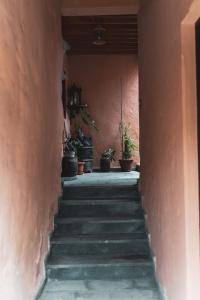 a hallway with stairs and potted plants in a building at Casa rural El Hornillo in Vallehermoso