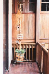 a porch with a potted plant and a bird house at Casa rural El Hornillo in Vallehermoso