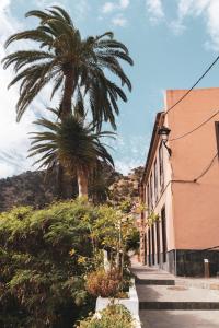a palm tree and a building with a palm tree at Casa rural El Hornillo in Vallehermoso