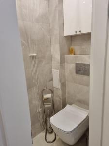 a small bathroom with a toilet and a shower at W Kolorze Mięty in Warsaw