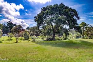 a large tree in a grassy field with a sky at Lakeside Villa - Quite Location, walk to the pool and to the Country Club in Diamondhead