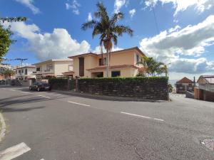 a house with a palm tree on the side of a street at Villa Telo in Funchal