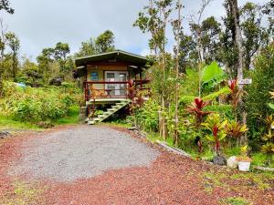 a house in the woods with a gravel driveway at Volcano Eco Cabin & Eco Lodge in Volcano