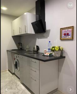 a kitchen with a counter with a washing machine at Crystal Twin Apartment in Gulbene