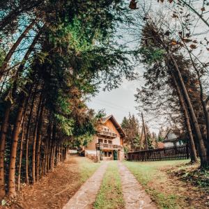 a path through a vineyard with trees and a house at Domek Bogusza in Kamionka Wielka
