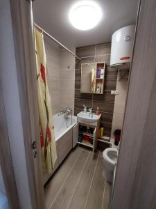 ペトロパブロフスク・カムチャツキーにあるWELCOME HOME Aparts & Tours 1233 Бесконтактное заселениеのバスルーム(洗面台、トイレ付)