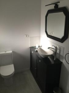 a bathroom with a toilet and a sink and a mirror at Gîte de la Fresnais in Epiniac