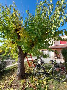 Zahrada ubytování Giuliva B&B