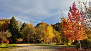 Φωτογραφία από το άλμπουμ του La Valle σε Nervesa della Battaglia +13 φωτογραφίες