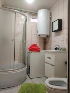 een badkamer met een douche, een toilet en een wastafel bij Солнечное настроение in Vinnytsya