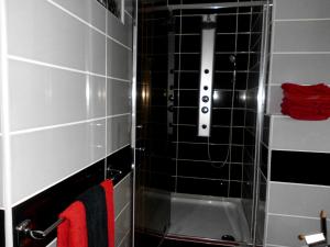 a shower in a bathroom with black and white tiles at Ferienwohnung II Krenzower Mühle keine Monteurwohnung in Rubkow