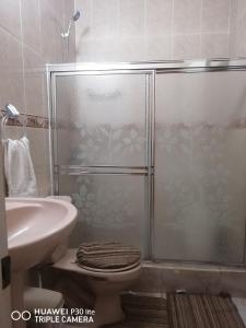 a bathroom with a shower with a toilet and a sink at Las colinas de Samaná in Santa Bárbara de Samaná