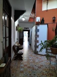 アグイメスにあるCasa rural el Burroの廊下にテーブルと植物が備わる客室です。