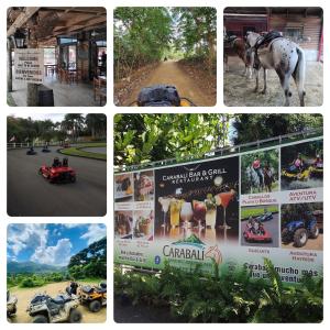 Foto sihtkohas Naguabo asuva majutusasutuse Lacasitadelmalecon galeriist