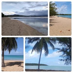 Foto sihtkohas Naguabo asuva majutusasutuse Lacasitadelmalecon galeriist