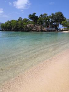 ein Strand mit klarem Wasser und Bäumen im Hintergrund in der Unterkunft La CASA AZUL - Das blaue Haus - The blue house in Las Galeras