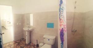 ein Badezimmer mit Toilette, Waschbecken und Dusche in der Unterkunft La CASA AZUL - Das blaue Haus - The blue house in Las Galeras