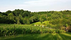 Gallery image of La Valle in Nervesa della Battaglia