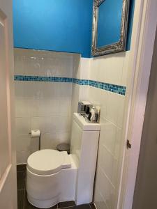 a bathroom with a white toilet and a mirror at The White House Hotel in Newquay