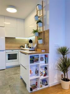 Kuchyňa alebo kuchynka v ubytovaní Apartment Zen