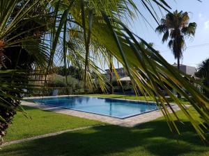 a palm tree next to a swimming pool at Asteraki ApartHotel in Gouvia +42 photos