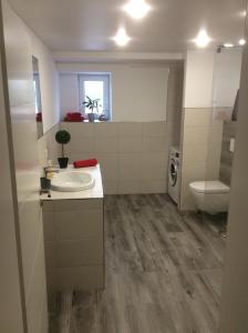 uma casa de banho com um lavatório e um WC em Ferienwohnung Nachtweide em Wadgassen