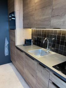 een keuken met een wastafel en houten kasten bij 3 Room Luxury Design Apartment with Airconditioning, Close to Gent St-Pieters Station in Gent