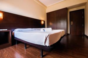 1 dormitorio con 1 cama grande en una habitación en Euba Hotel en Amorebieta-Etxano