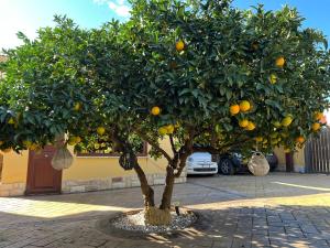 Fotografie z fotogalerie ubytování B&B Templi e Arte v destinaci Villaggio Mose