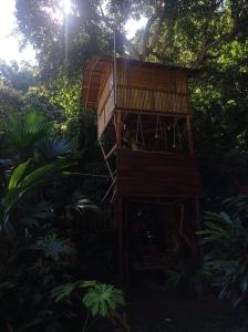 une cabane dans les arbres au milieu de la forêt dans l'établissement Treegana, à Triganá