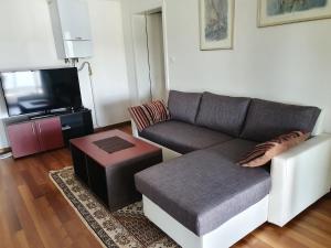 salon z kanapą i telewizorem w obiekcie Villa Dambo mit Pool , 4 Sterne w mieście Grkavešćak