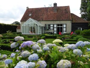 a house with a garden with purple and white flowers at hoeve onder de eik in Jabbeke