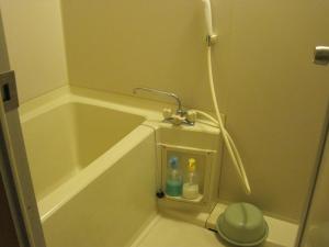 a small bathroom with a shower stall with a toilet at Hotel Viva Nikko in Nikko