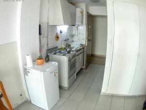Kuhinja ili čajna kuhinja u objektu Ferbus monoambiente