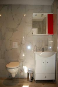 La salle de bains est pourvue de toilettes blanches et d'un lavabo. dans l'établissement Vila Phoenix, à Călimăneşti